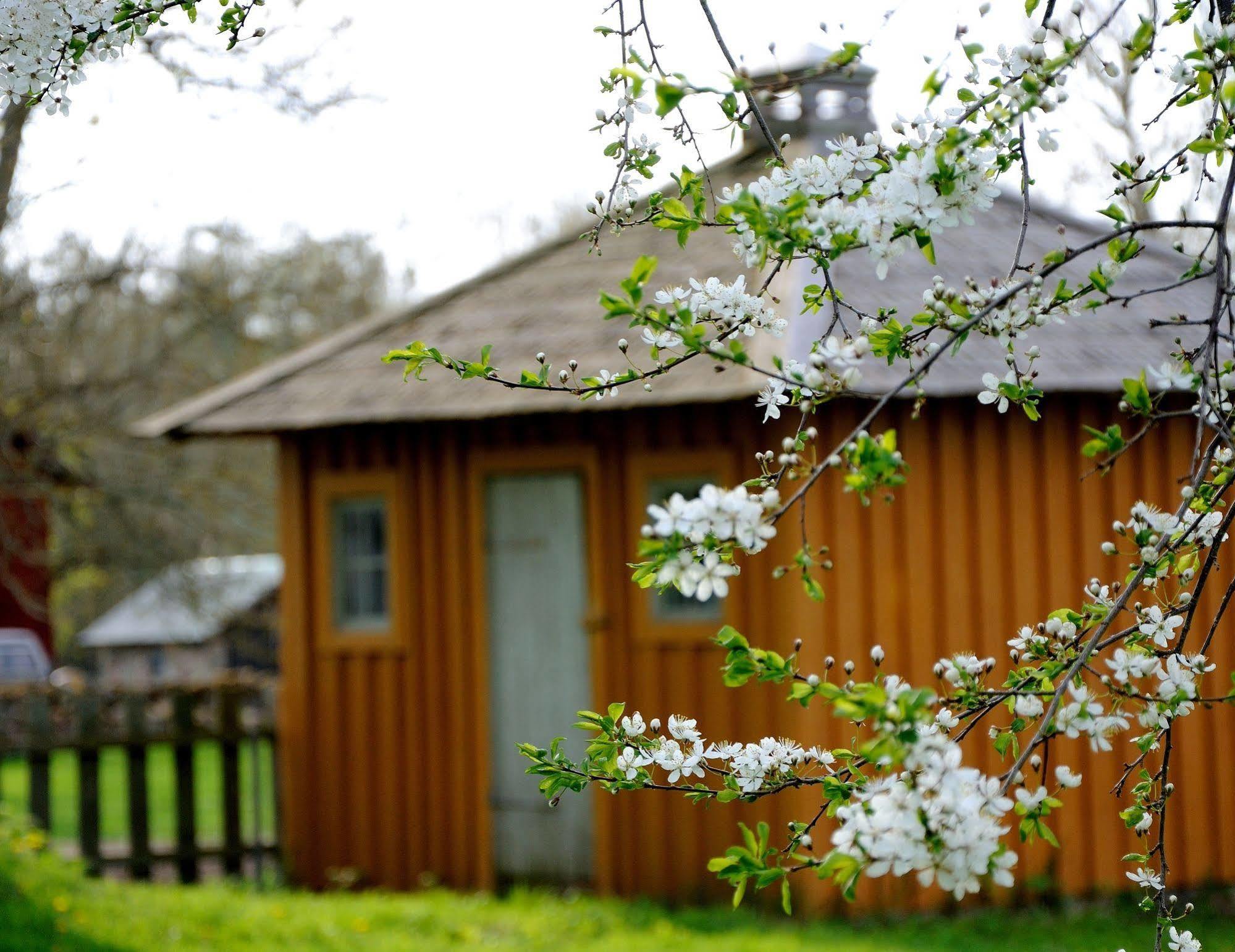 Sätuna Naestegarden Bed & Breakfast מראה חיצוני תמונה